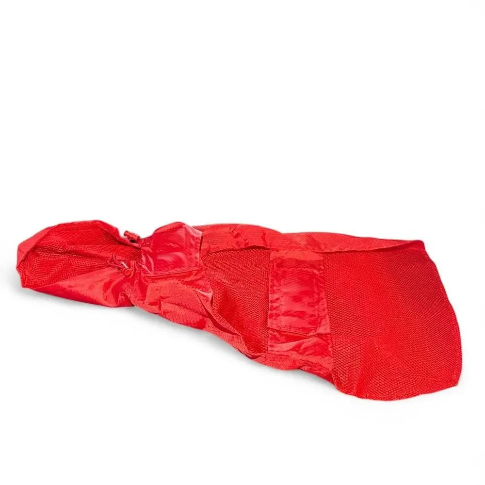 Kong dog medium